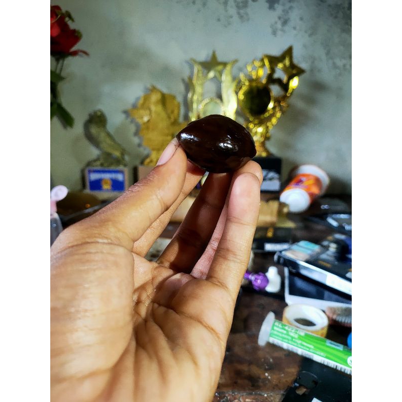 MUNCANG ADU WADAS LINTANG INDUNG PASANGAN MEWAH SIAP ADU