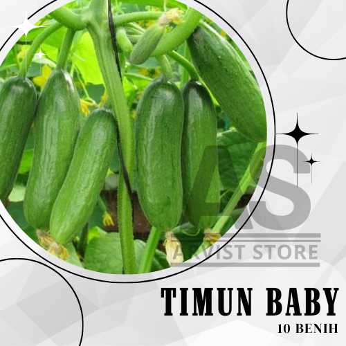 10 Butir - Benih Timun BABY Cap Panah Merah Mentimun Bonteng Tanaman Sayuran