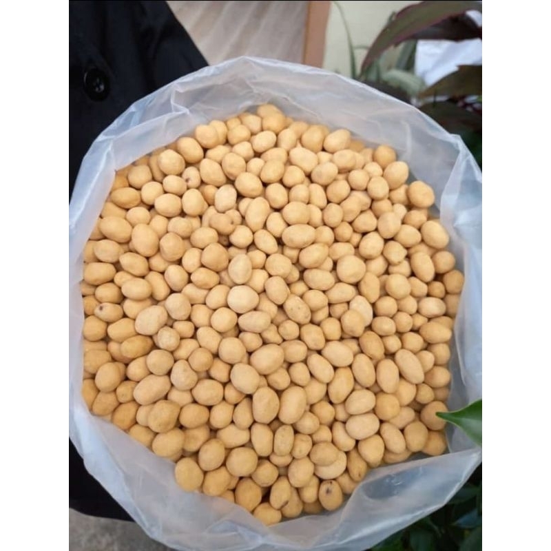 

kacang madu/kacang atom