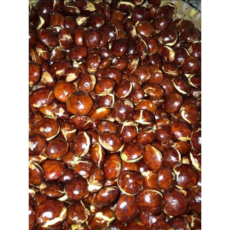 

Sayuran Jengkol Tua Jengkol Besar Sepi Tua 250 gram