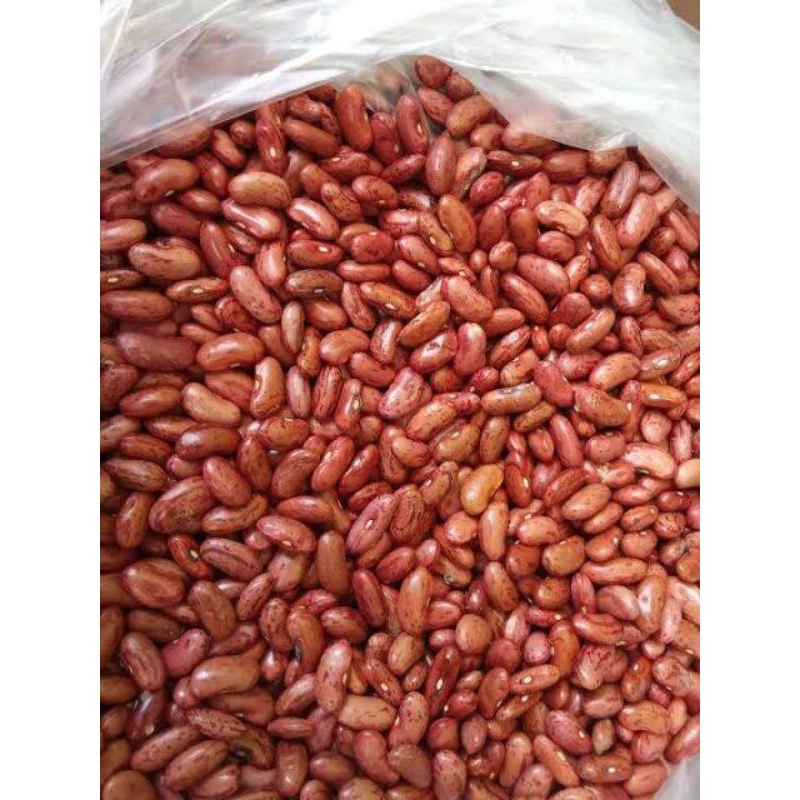 Kacang merah kering fresh 1kg