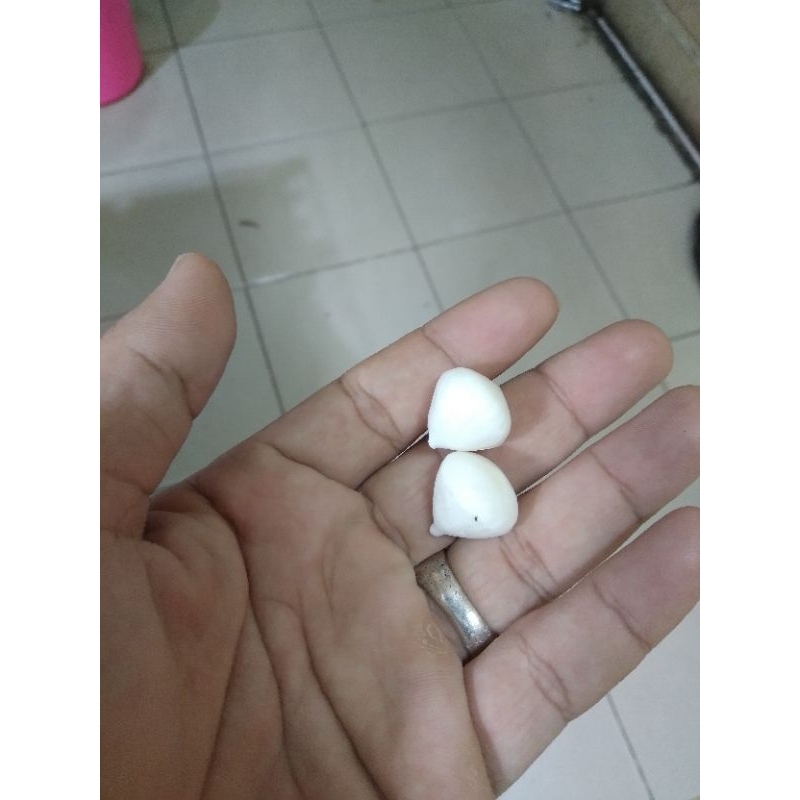 sepasang batu kelapa