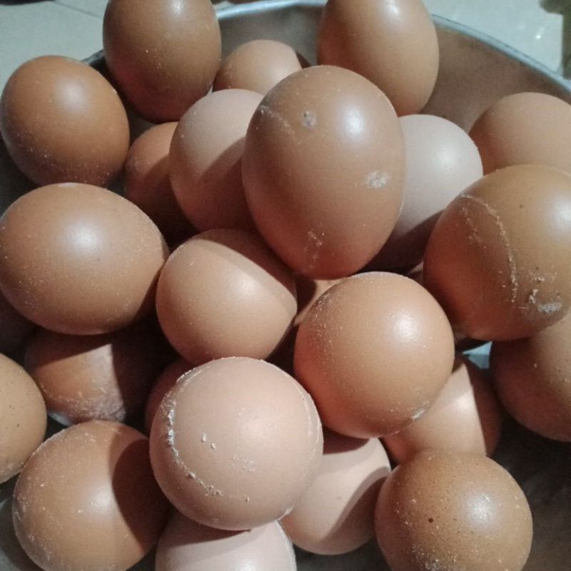 

TELUR AYAM RAS 30 BUTIR UKURAN SEDANG BERAT sekitar 1,7 kg