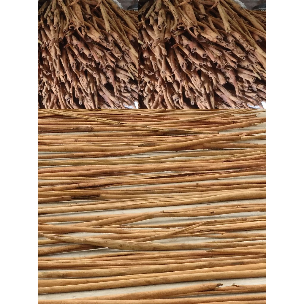 

KULIT KAYU MANIS JENIS STIK CAMPURAN