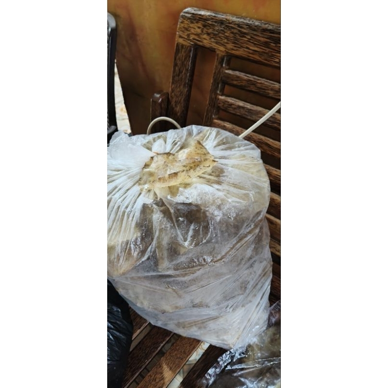 

kerupukjengkol