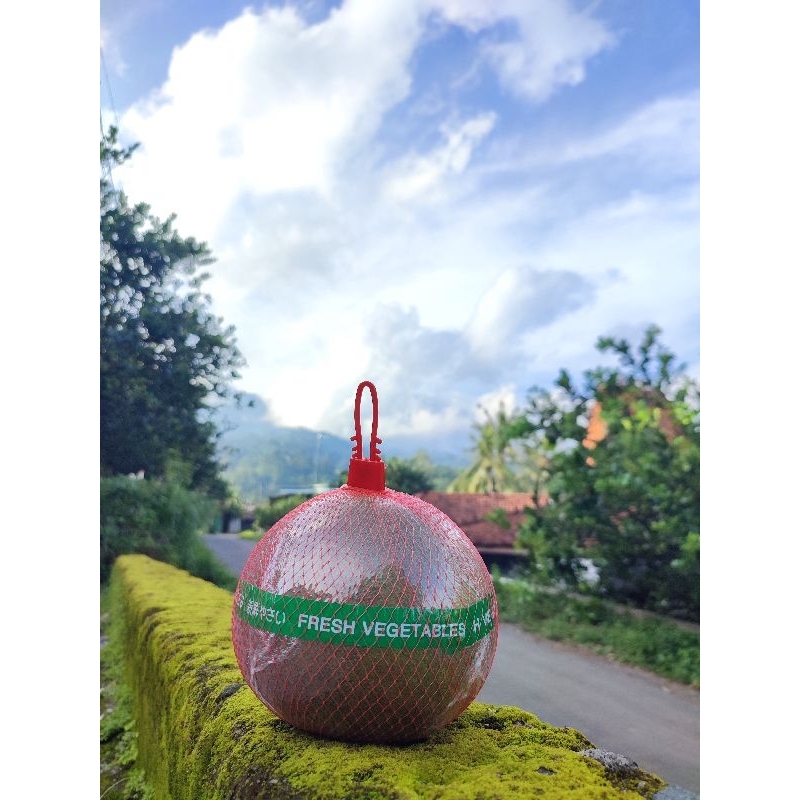 

Jeruk Pamelo Madu Asli Muria berat 9 ons