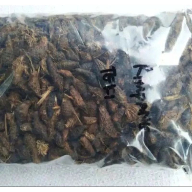 

Umbi Suket Teki Kering 500gr Rimpang Rumput Teki Asli Herbal