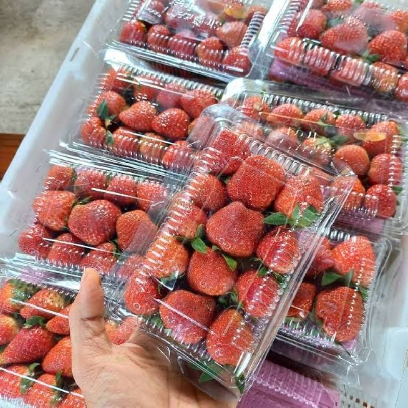 

[KIRIM INSTANT] Strawberry organik bandung