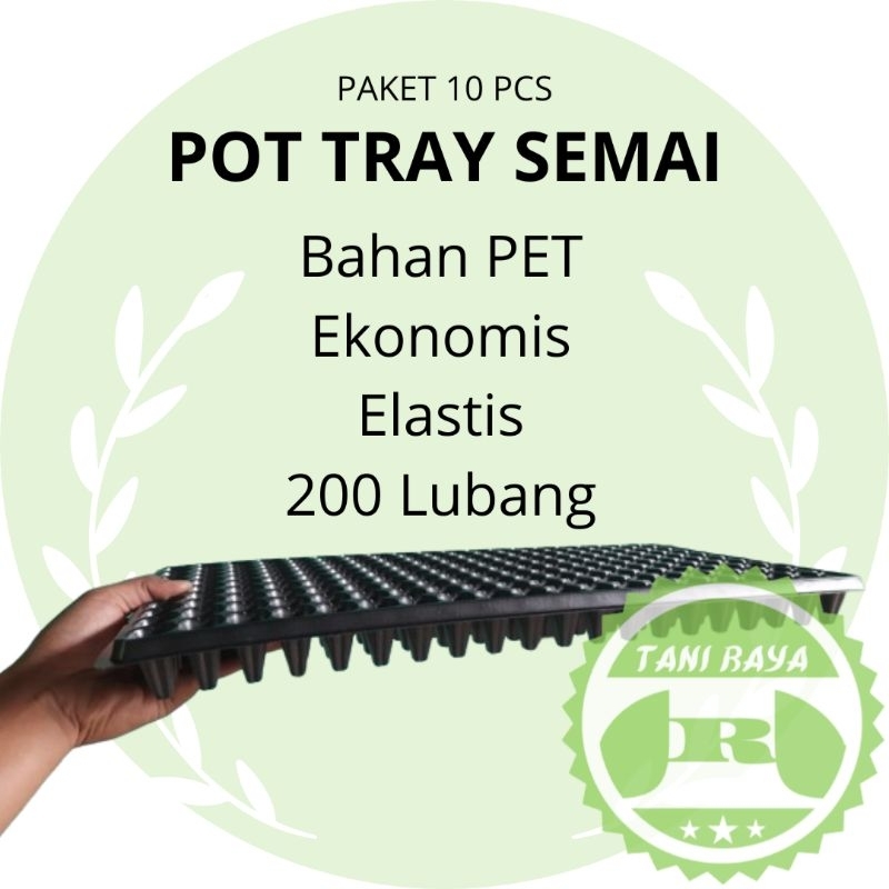 POT TRAY SEMAI 200 lubang