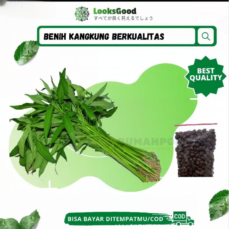 Ratusan Benih Sayuran Kangkung / Benih Kangkung / Bibit Kangkung