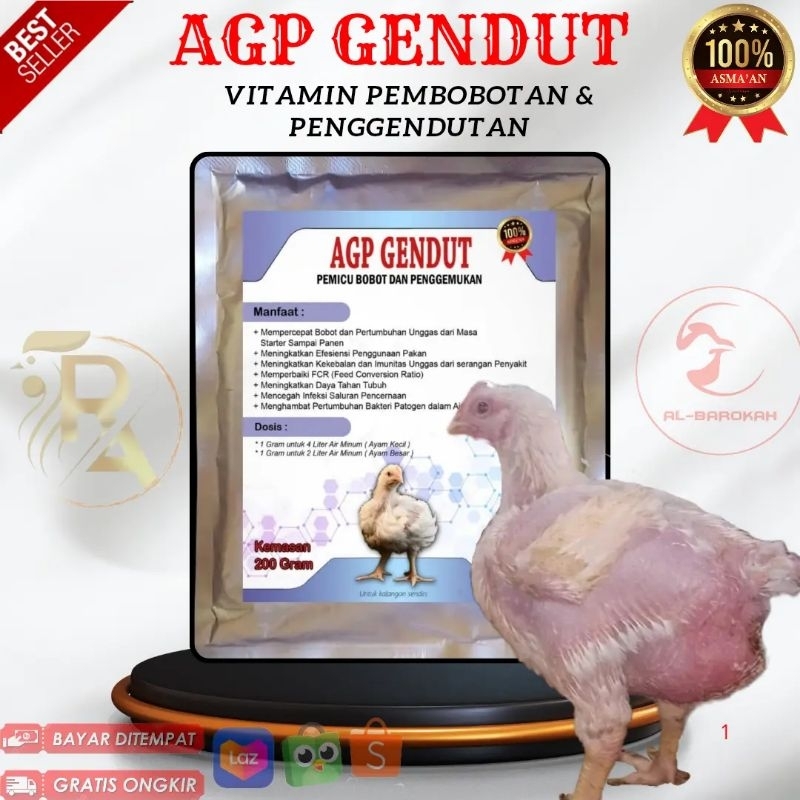 Agp gendut pemicu bobot dan penggendutan