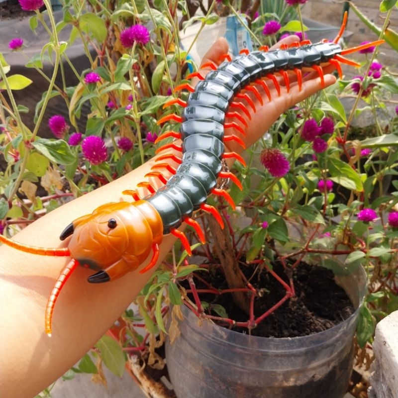 Mainan anak Prank Kelabang Remote kontrol + Free BATERAI+ free toy 1PCs+Free 1pcs Figure