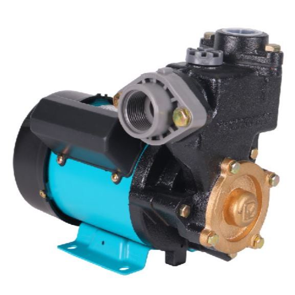 Shallow Pump || Pompa WASSER PW-131E || PW 131 E