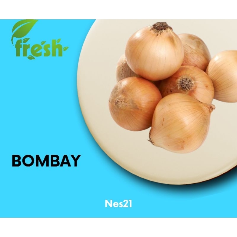 

Nes21 Sayuran Bawang bombay / Segar / instan H+1