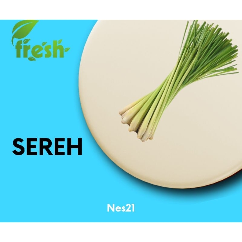 

Nes21 Sayuran Sereh Per Iket