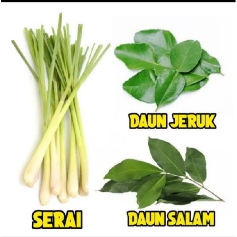 

paket bumbu masak