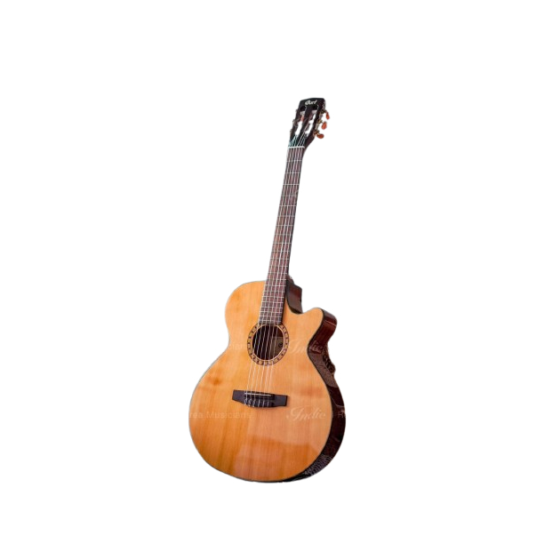 Classic Guitar Cort CEC5 with Fishman Presys Natural Glossy Finish