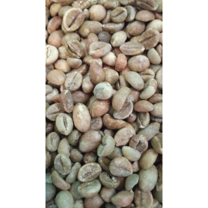 Biji Kopi mentah Robusta Temanggung Grade 1