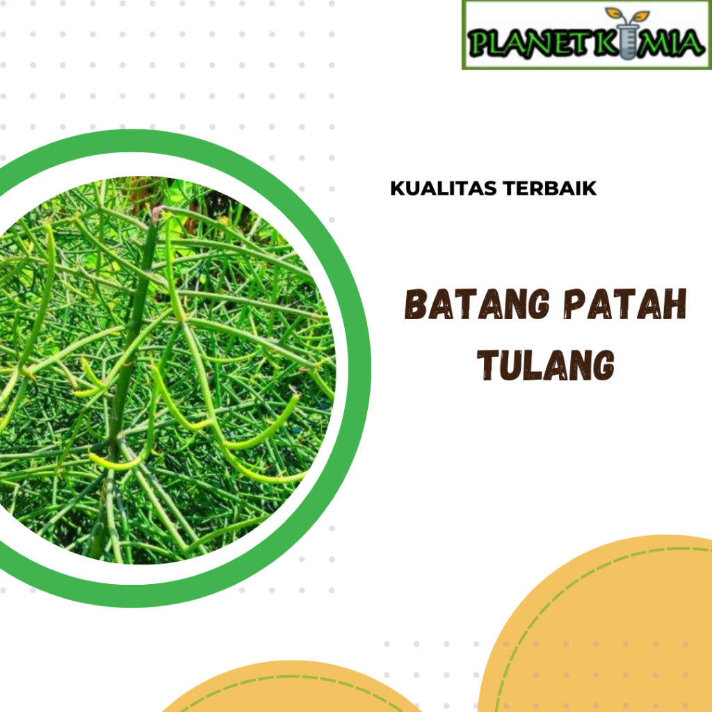 

dried,serbuk daun patah tulang best product