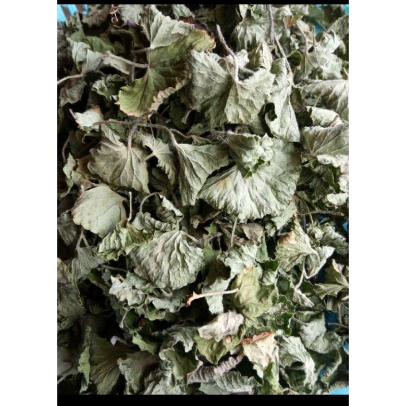 

antanan kering fresh asli per gram