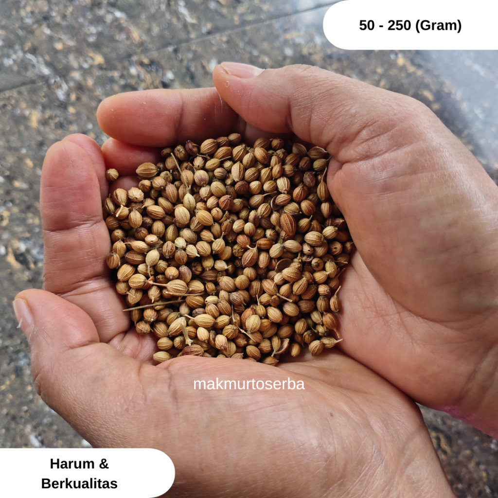

Ketumbar India Premium (Ukuran Lebih Besar) | Sedia 500 - 1000 Gram | Bahan Minuman Herbal & Bumbu Masakan