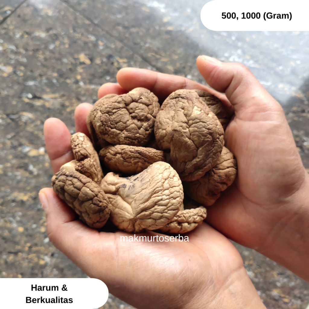 

Jamur Shitake Kering | Sedia 500 - 1000 Gram | Bahan Olahan Masakan
