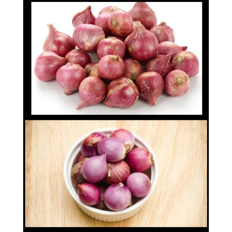 

Bawang merah grosir murah