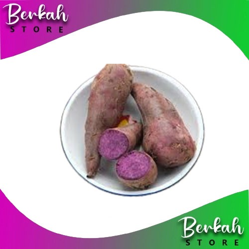 

Paket Kargo Umbi Ubi Jalar Ungu 10 kg fresh kualitas unggul tokoberkah store