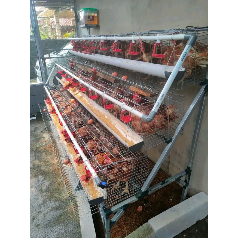 kandang ayam galvanis untuk ternak skala rumahan pintu4 isi 8ekor ayam paket 3susun isi 50 ekor ayam
