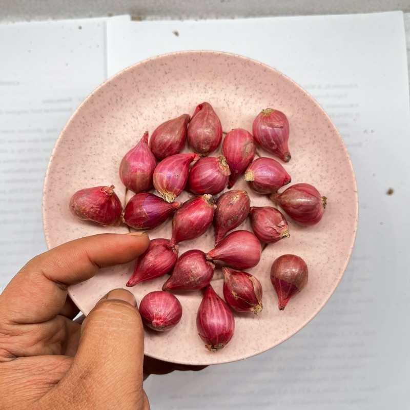 

Bawang Merah Probolinggo 1kg ukuran KECIL termurah /SUPER kering dan bersih