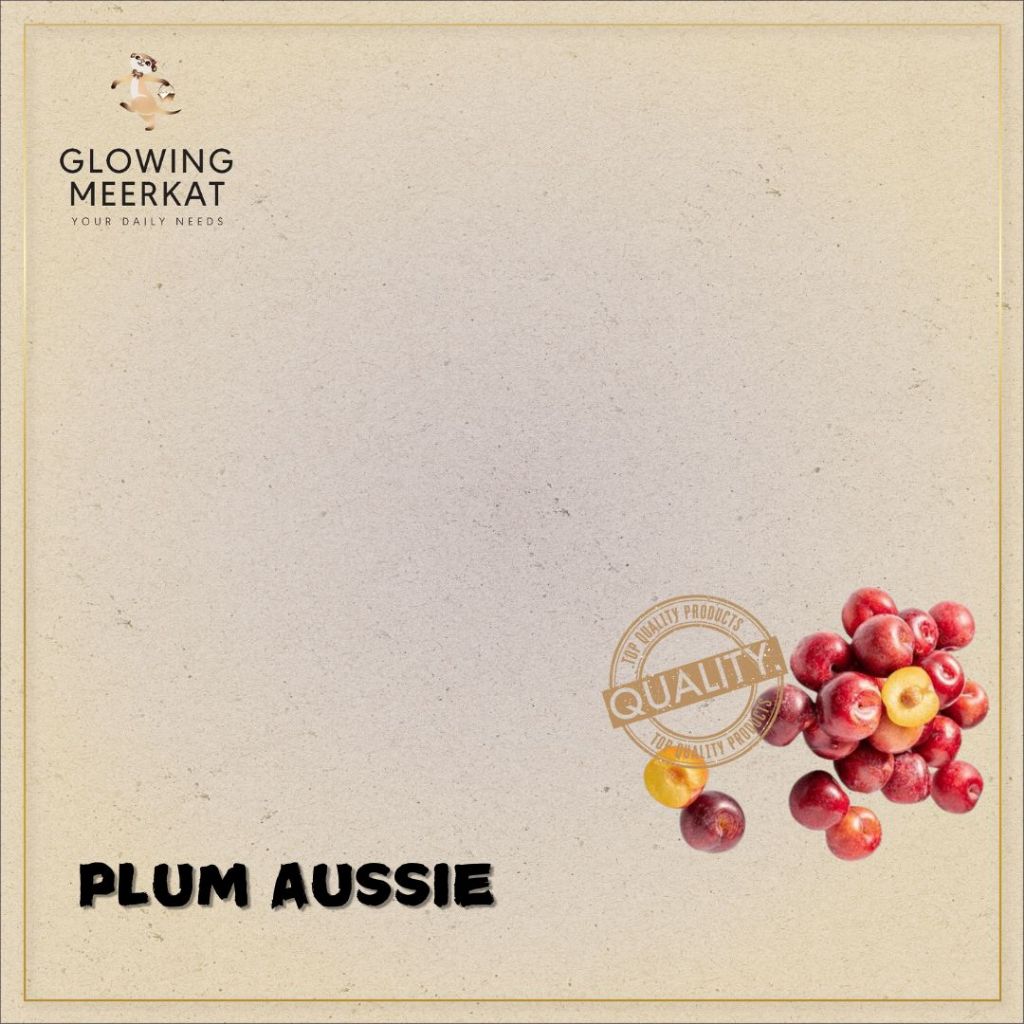 

Plum Aussie Terbaru Garing