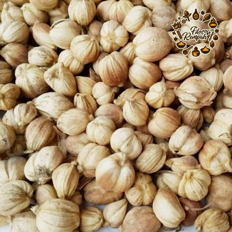 

Kapulaga Lokal Utuh Kualitas Premium