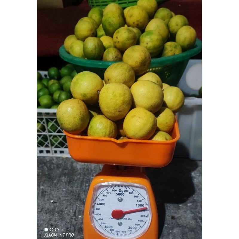 

jeruk nipis kuning 1kg