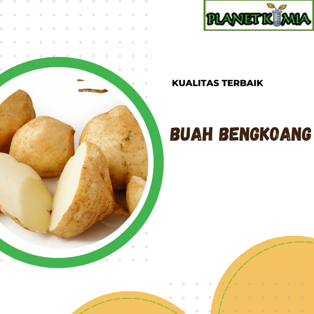 

ekstrak buah bengkoang best product