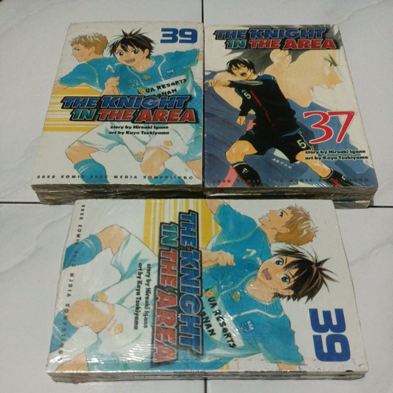 komik the knight in the area