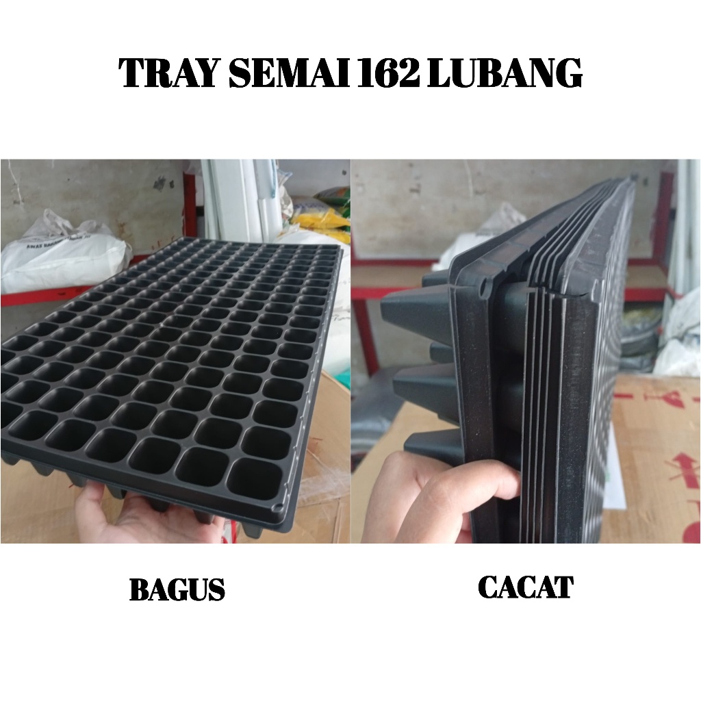 Tray Semai 162 Lubang Pot Trai Kotak Benih Bibit Tanaman Ukuran Besar
