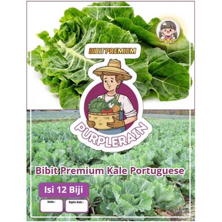 Bibit Premium Kale Portuguese | Biji Benih Kale Portuguese | Sayur Kale