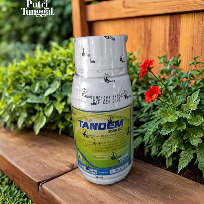 Tandem 325SC fungisida sistemik