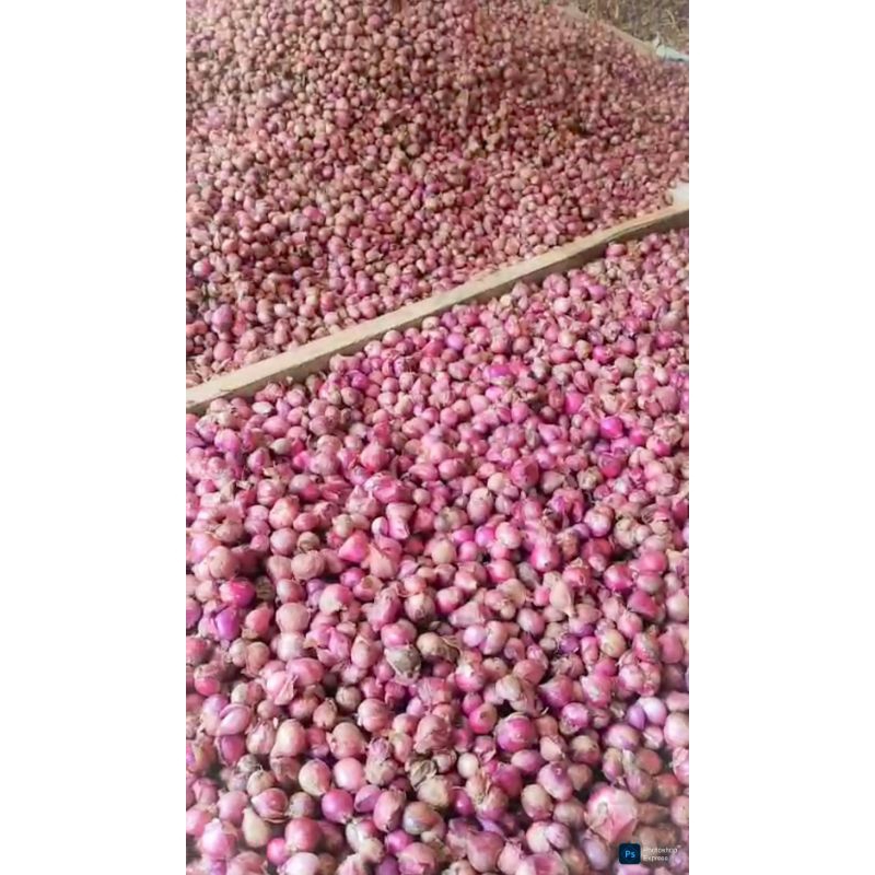 

Bawang Merah lokal fresh besar sedang (1 kg)