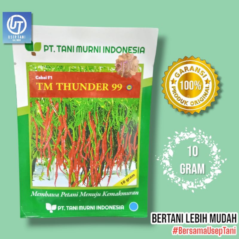

BENIH CABE F1 TM THUNDER 99 KEMASAN 10 GRAM TANI MURNI INDONESIA