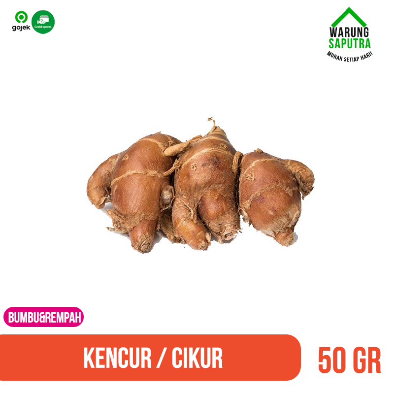 

Cikur / Kencur Rempah 100 g
