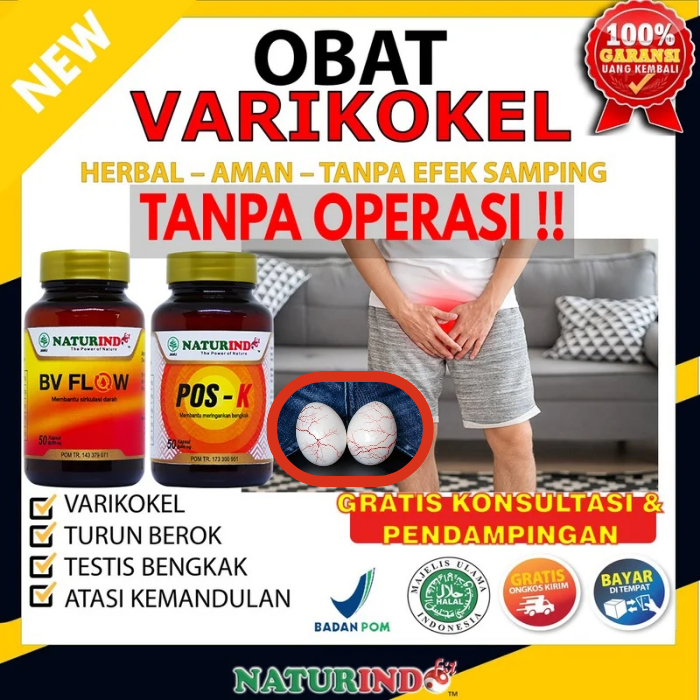 Obat Varikokel Paling Ampuh Bengkak Benjolan di Buah Zakar Nyeri Testis di Buah Zakar Pelancar Pered