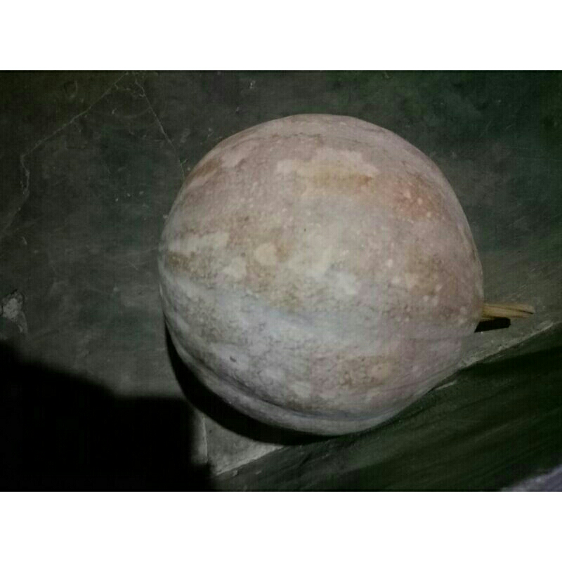 

2kg buah labu buah waluh