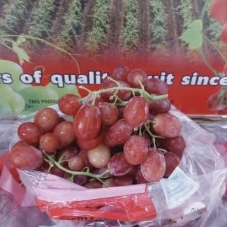 

Buah anggur red really seedles tanpa biji 1 kg