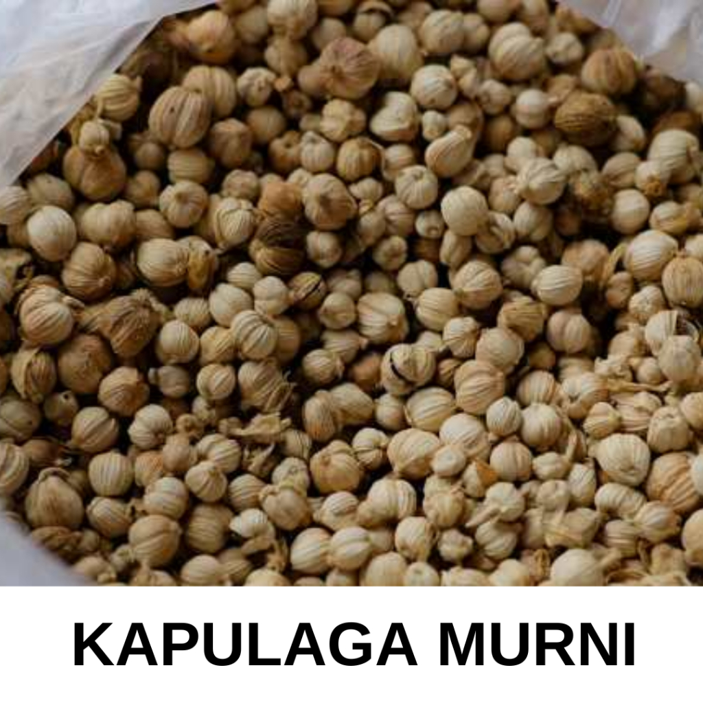 

Kapulaga Putih Premium Munrni 100gr - 1kg