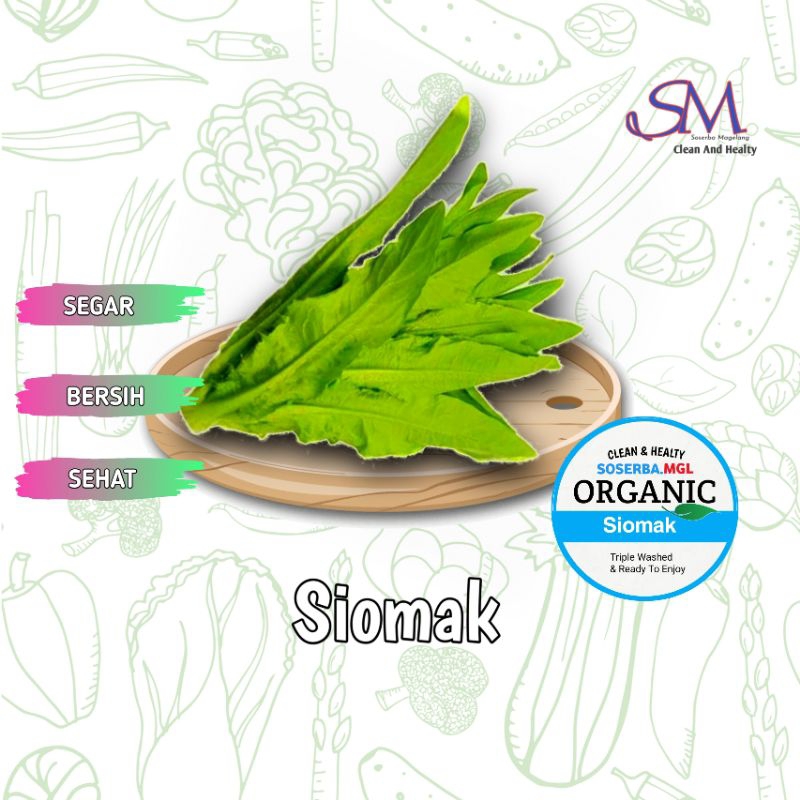 

Siomak Selada panjang fresh hijau terlaris 250gr