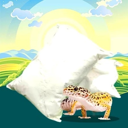 KALSIUM 100 - Kalsium Gecko Vitamin Gecko Penggemuk Gecko Kalsium Reptil Torto Tarantula HARGA TERMU