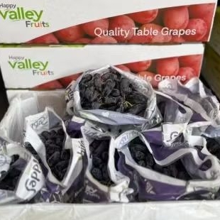 

Buah Anggur Shafir/Jari Australia Jual Per 1 Dus Karton
