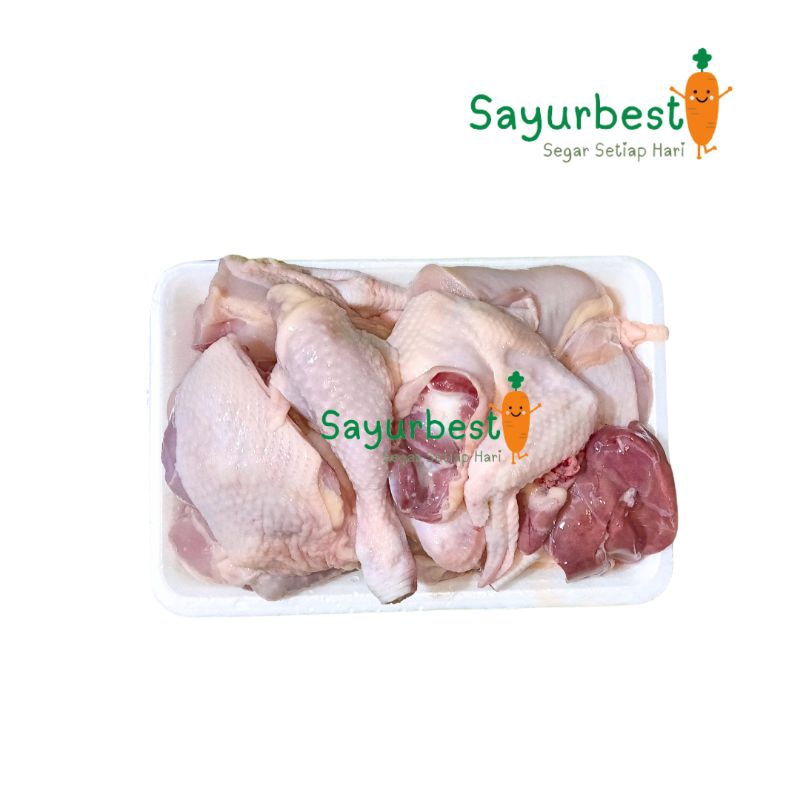 

(PO KIRIM BESOK) Ayam Potong Segar 1 Ekor
