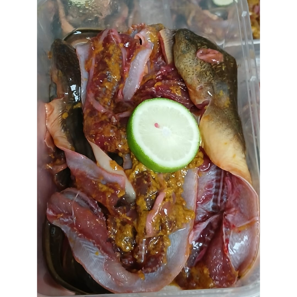 

BELUT BUMBU SIAP GORENG